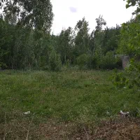 نیازمند-شریک-کار-بلد-برای-ساخت-ویلا-در-باغبادران