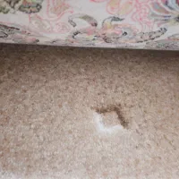 موکت پالاز شیک خوشرنگ و بادوام