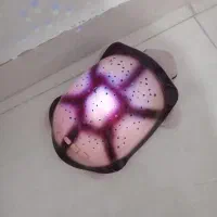 لاک پشت موزیکال