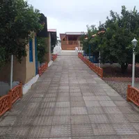 سوئیت با ویو جنگل