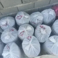 کود مرغی قفسی بدون خاک تمیز|خدمات باغبانی و درختکاری|کاشان, راوند|دیوار