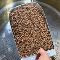 قهوه/فول کافیین/عربیکا/روبستا/ترکیبی|عمده‌فروشی|تهران, دریاچه شهدای خلیج فارس|دیوار