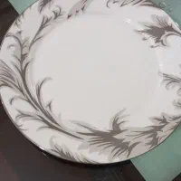 ظروف غذاخوری چینی