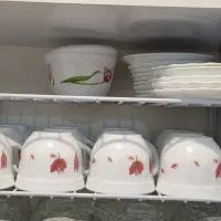 فنجان و نلبکی آرکوپال فرانسه