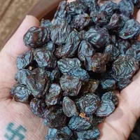 کشمش ومویز خرمامخصوص آبگیری بهمراه چرخ کردن رایگان