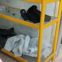 ویترین مغازه سالم|فروشگاه و مغازه|جلفا, |دیوار