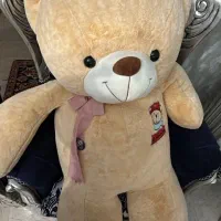 عروسک خرسی شاخصین