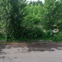 فروش واحد 80 متری خوش نقشه ویو فضای سبز و رودخانه|فروش آپارتمان|رودبنه, |دیوار