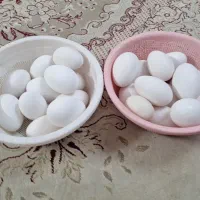 فروش تخم نطفه دار غاز و جوجه غاز و بوقلمون