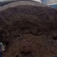 پهن گوسفندی کهنه