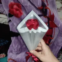 گل ربانی|گل مصنوعی|لردگان, |دیوار