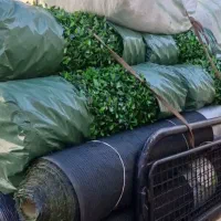 چمن مصنوعی 339تومن به مدت یک هفته|گل مصنوعی|لاهیجان, شهرک جانبازان|دیوار