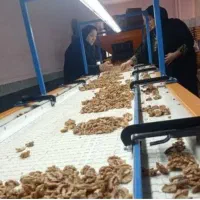کارگر آقا و خانم برای بسته بندی گردو در کارگاه|استخدام صنعتی، فنی، مهندسی|آذرشهر, |دیوار