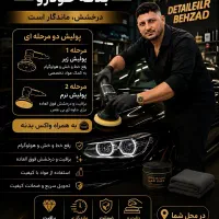 دیتیلر خودرو