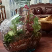 تراریوم آنتالیا