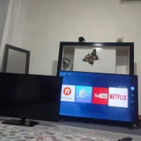 تلویزیون هایسنس اصل