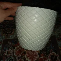 سلام|گل و گیاه طبیعی|بیرجند, |دیوار