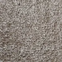 پالاز موکت نو نو اصلا استفاده نشده.