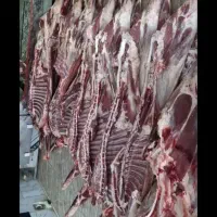 گوشت گوسفندی|خوردنی و آشامیدنی|اهر, |دیوار