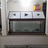 اکواریوم