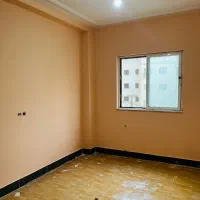 نقاشی ساختمان، کناف و پلی‌اورتان (مشاوره رایگان)|خدمات پیشه و مهارت|گنبد کاووس, |دیوار