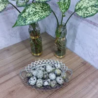 بلدرچین و   تخم  نطفه دار  وایت سنگین وزن