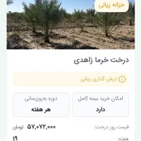 فرصت سرمایه گذاری . سایت باغ بازار|استخدام مالی، حسابداری، حقوقی|تهران, نیروی هوایی (پیروزی)|دیوار