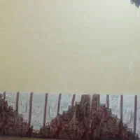پشتی