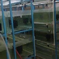 فروش سالن پرورش ماهی