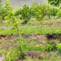 فروش-زمین-باغی-و-مسکونی-درروستای-دوتو-چشمه-مرغاب