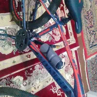 دوچرخه 29|دوچرخه، اسکیت، اسکوتر|قیدار, |دیوار