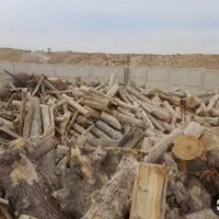 خرید چوب هیزمی صنعتی بالاترین قیمت