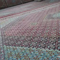 فرش ۶ متری|فرش|سنندج, |دیوار