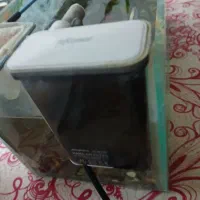 اکواریم کامل با ماهی ودستگاه|ماهی|میبد, |دیوار