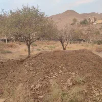 کود حیوانی گوسفندی|خدمات باغبانی و درختکاری|صوفیان, |دیوار