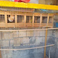 قفس پرنده|لوازم جانبی حیوانات|برازجان, |دیوار