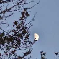 اجاره-مغازه