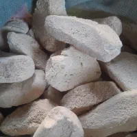 کشک گوسفندی