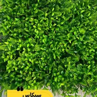 پخش کننده چمن مصنوعی، گرین وال و فنس  در نیشابور|مصالح و تجهیزات ساختمان|نیشابور, فردوس شمالی|دیوار