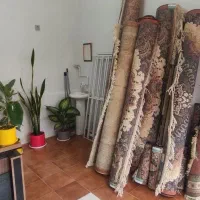 قالیشویی تمیز باشی(متمایز در شستشو)