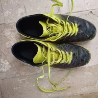 کفش سالنی رایگان|کیف، کفش، کمربند|شاهین‌شهر, عطار|دیوار