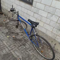 دوچرخه‌ کورسی آلمانی|دوچرخه، اسکیت، اسکوتر|رشت, امین الضرب|دیوار