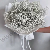 راهنمایی میخام