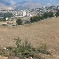 گویتر   زیر قیمت   ویو ابدی گویتر