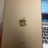 iPad mini 3