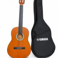 گیتار استاندارد مبتدی