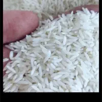 برنج طارم هاشمی کشت دوم ۲۰ کیلویی