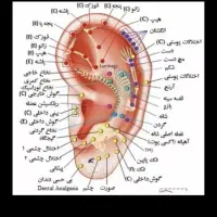 رفع گرفتگی وماساژ