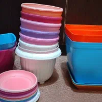 گلدان پلاستیکی|گل و گیاه طبیعی|تهران, امین حضور|دیوار