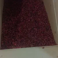 زرشک درجه ۲|خوردنی و آشامیدنی|تهران, ابوذر|دیوار